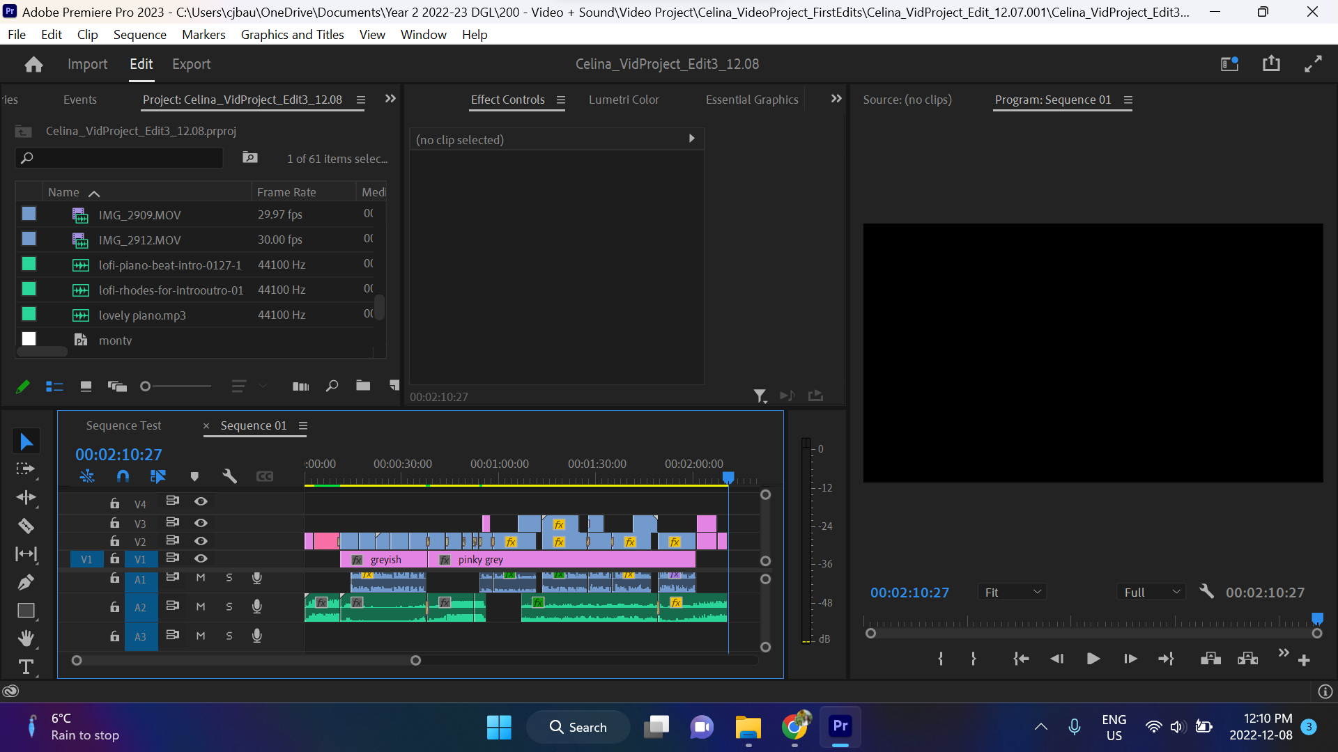 Premiere Pro Screenshot