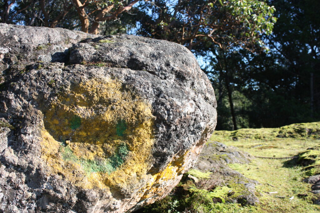 Smiley Face Rock