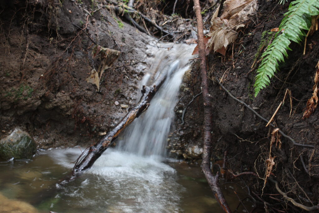 Flowing Water Stream