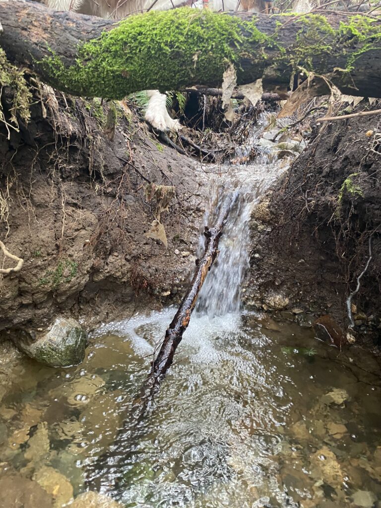 Water Stream
