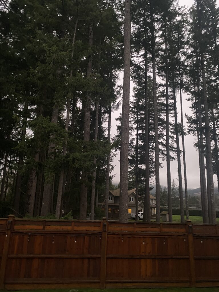 Wooden Fence