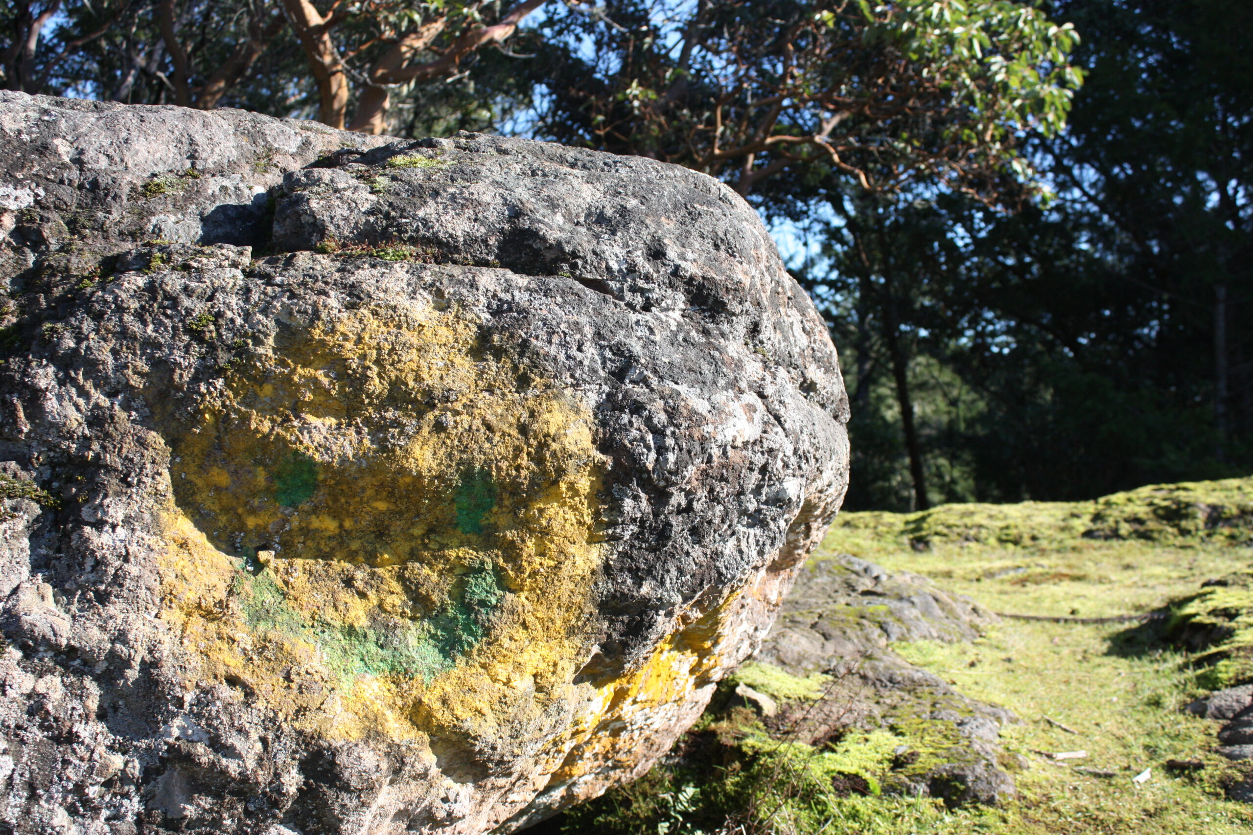 Smiley Face Rock