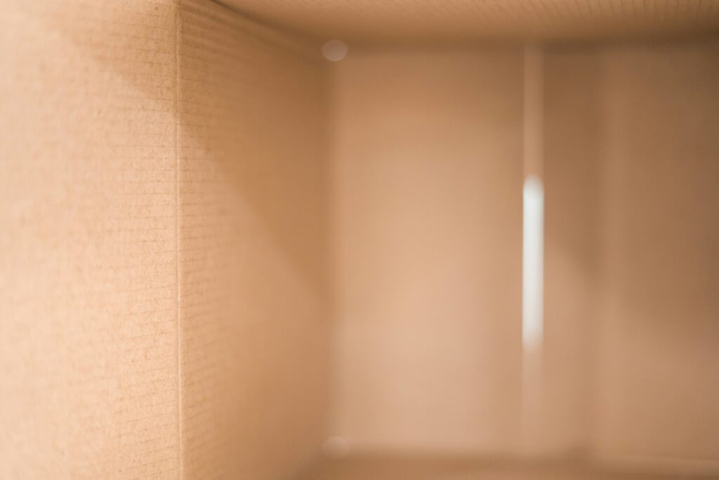 Inside cardboard box